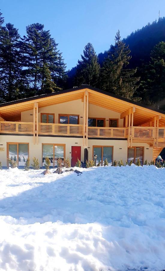 Chalet Relax Molveno E Andalo Dolomiti Exterior foto