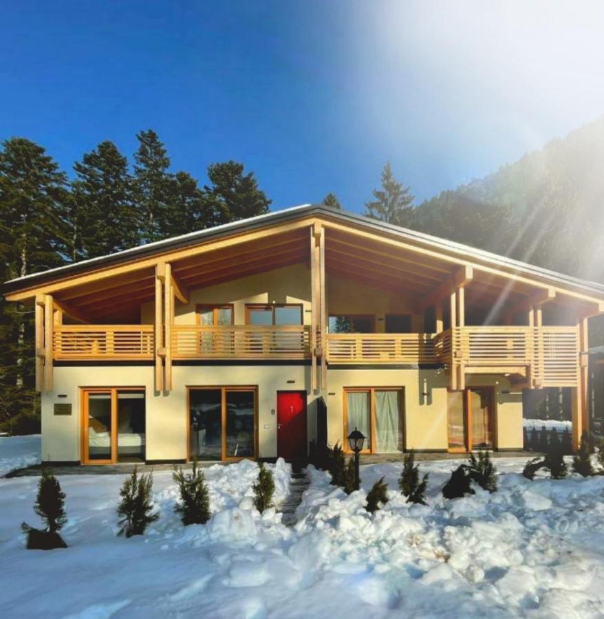 Chalet Relax Molveno E Andalo Dolomiti Exterior foto